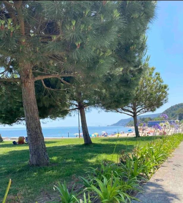 Setubal Rp House Apartamento Perto Do Mar E Comercio Na Luisa Todi Εξωτερικό φωτογραφία